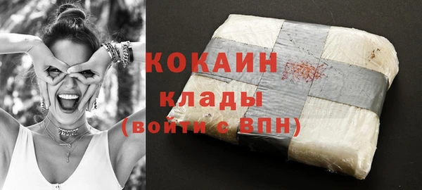 молекула духа Алексин