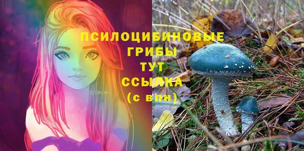 молекула духа Алексин