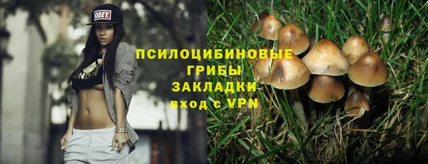 молекула духа Алексин