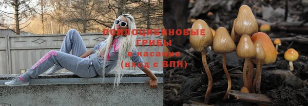 дурь Алексеевка