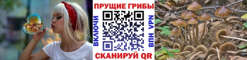 Псилоцибиновые грибы прущие грибы  Жигулёвск 